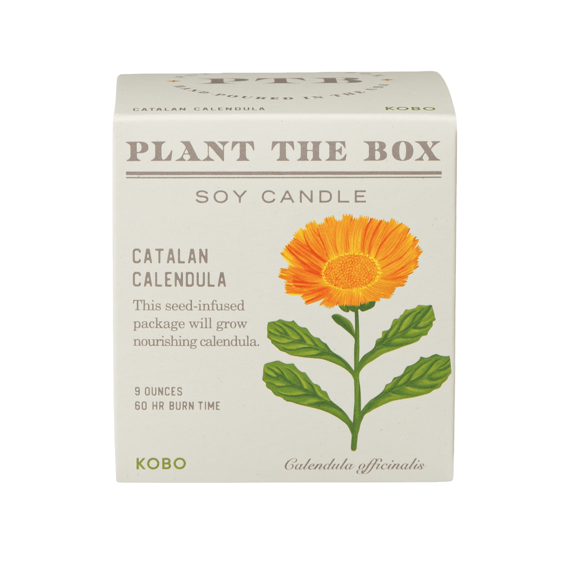 Primary image of Catalan Calendula Plant The Box Candle