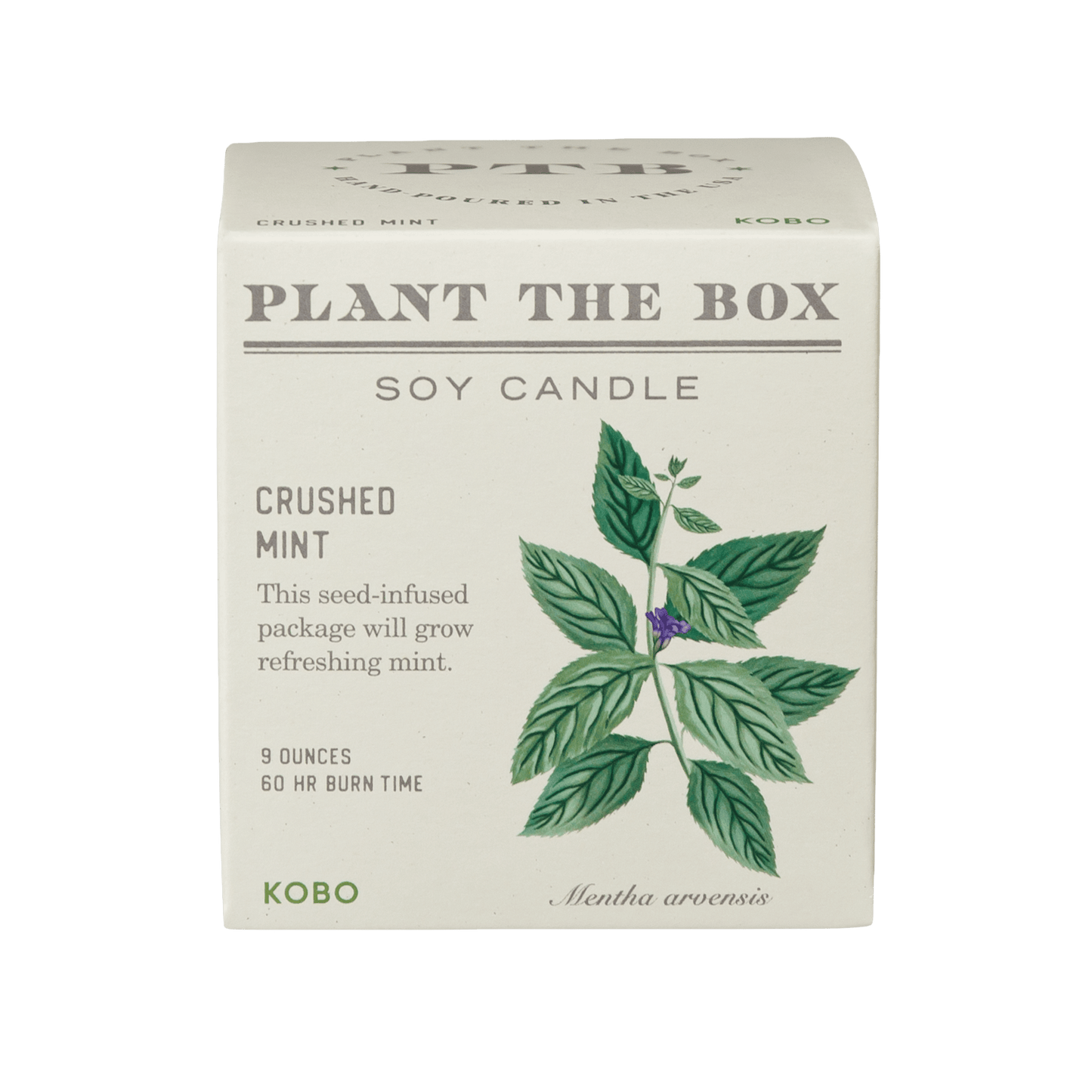 Primary image of Crushed Mint Plant The Box Candle