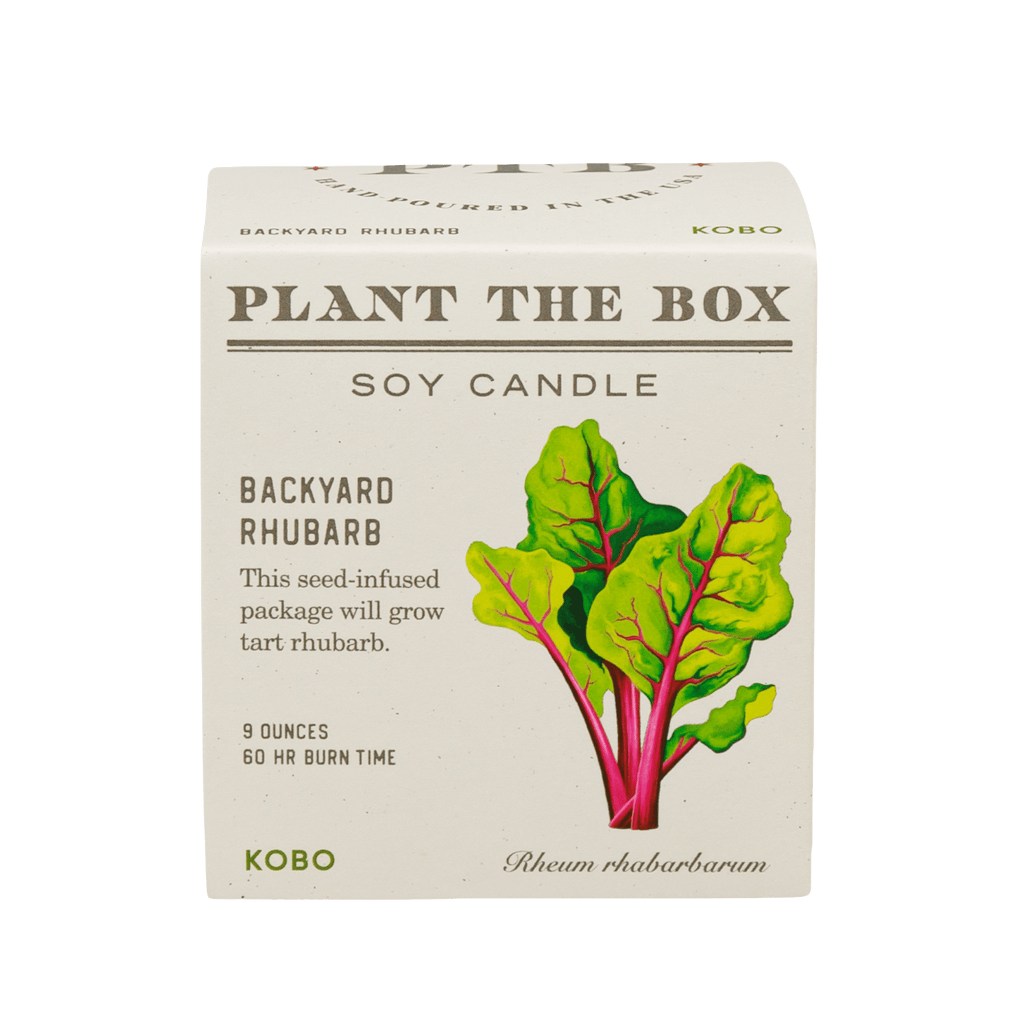 Front view of Backyard Rhubarb Plant the Box 9 oz soy candle with rhubarb illustration on transparent background