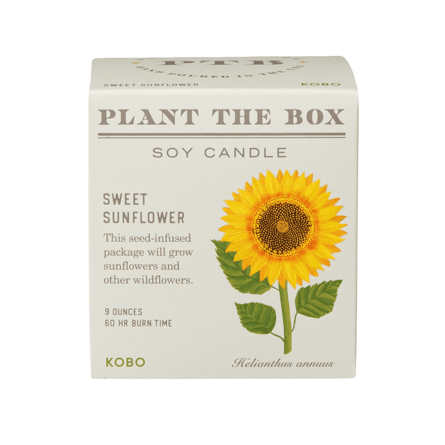 Primary image of Sweet Sunflower Plant The Box Candle