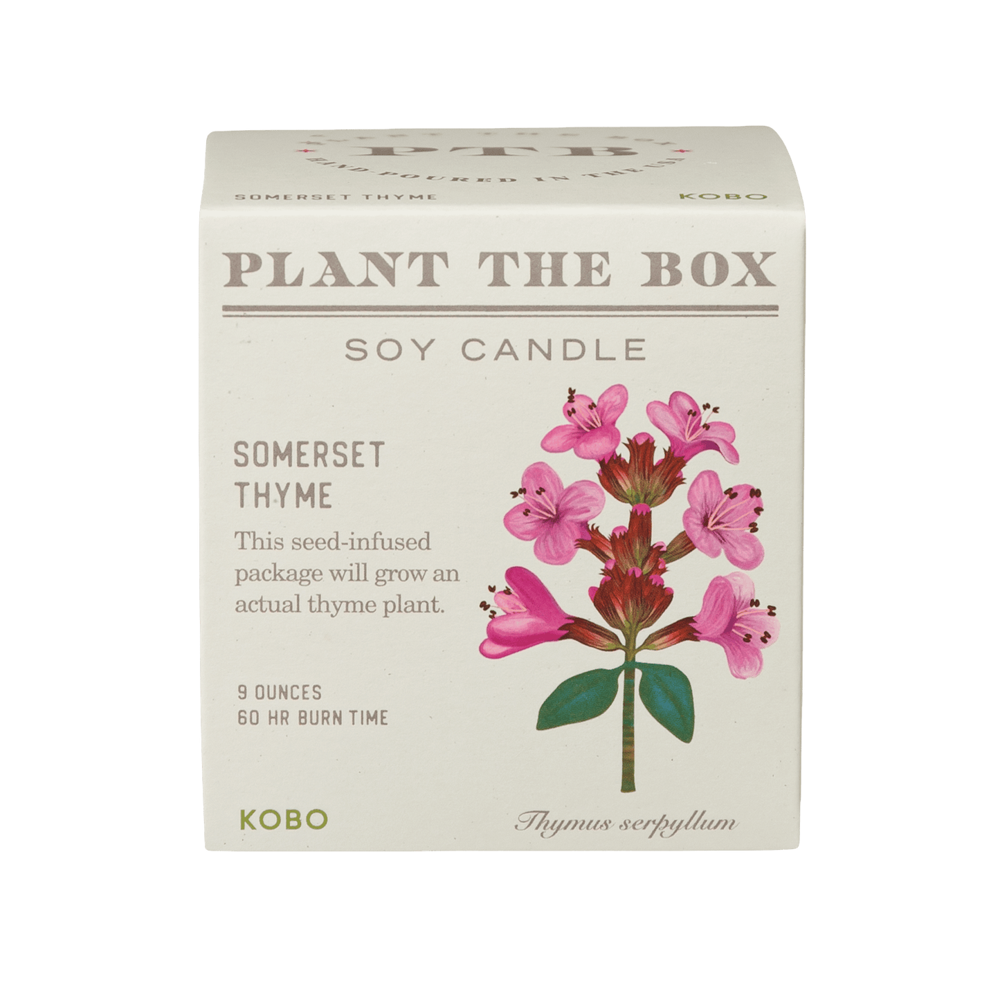 Primary image of Somerset Thyme Plant The Box Candle