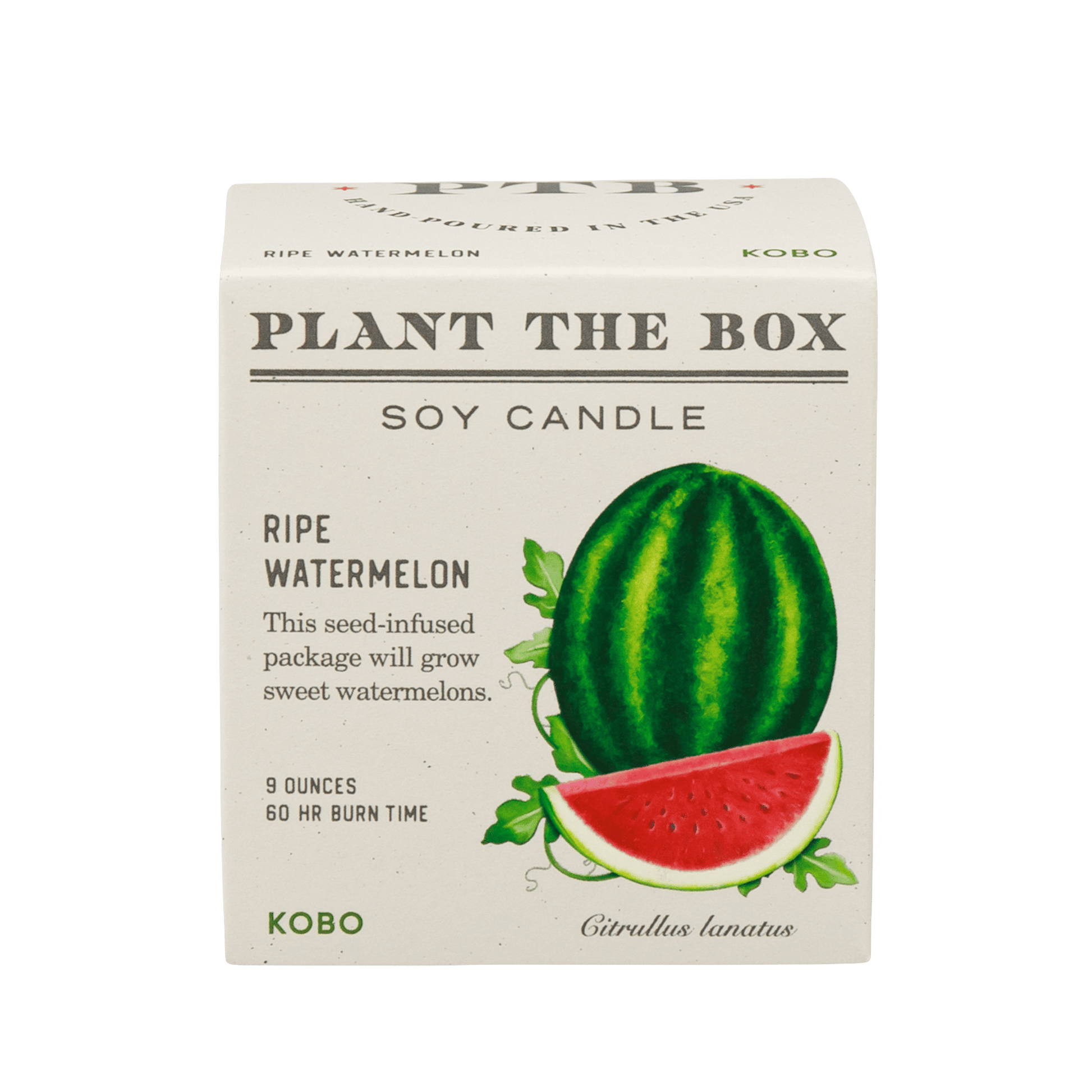Primary image of Ripe Watermelon Plant the Box 9 oz Candle