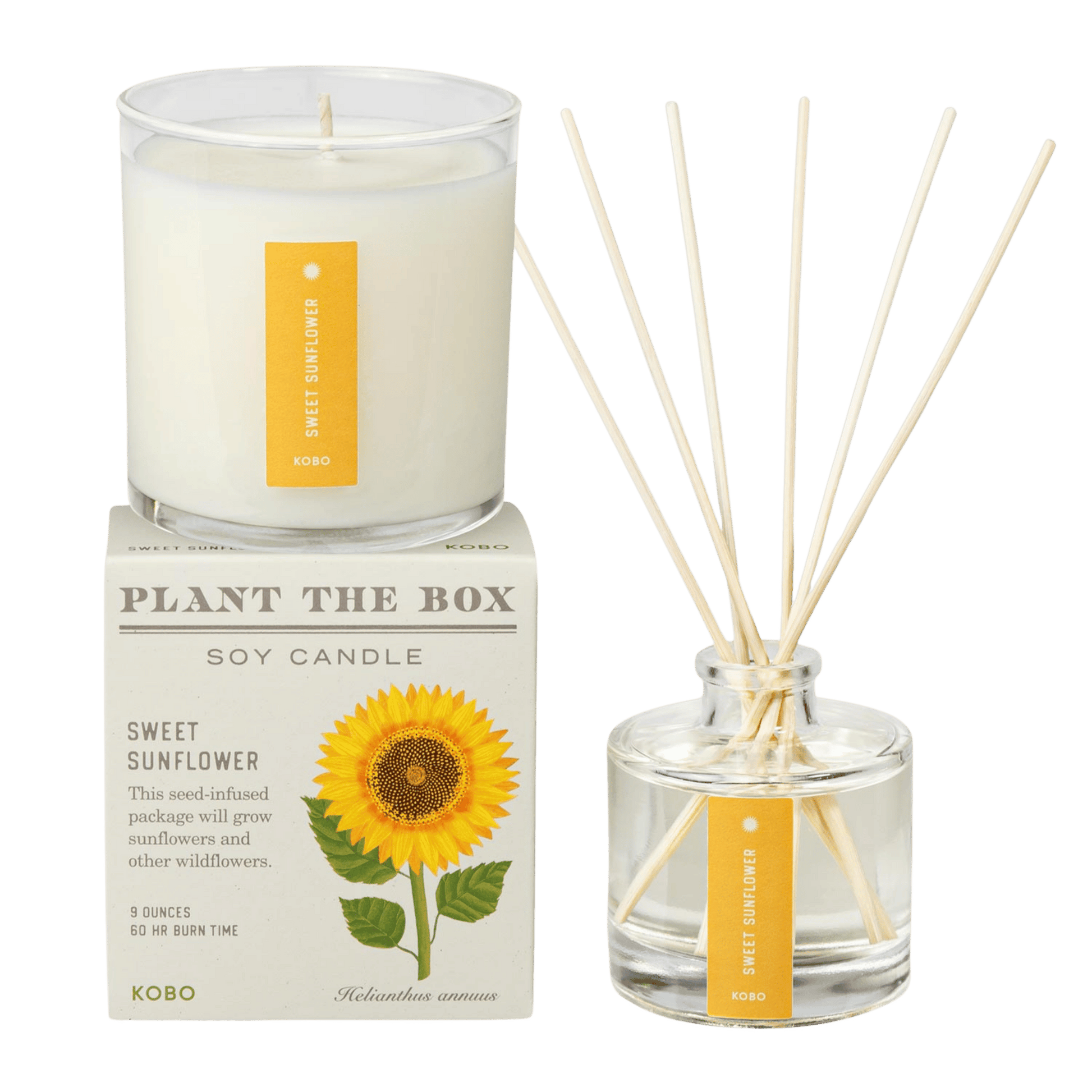 Primary image of Sweet Sunflower Plant the Box Duo