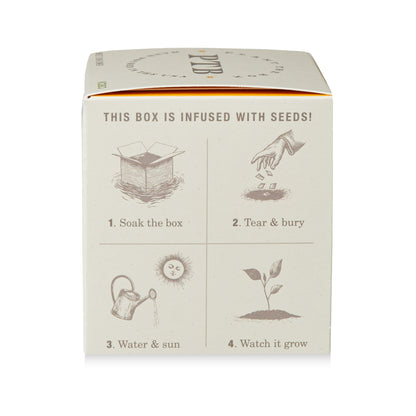 Alternate Image of Sweet Sunflower Candle