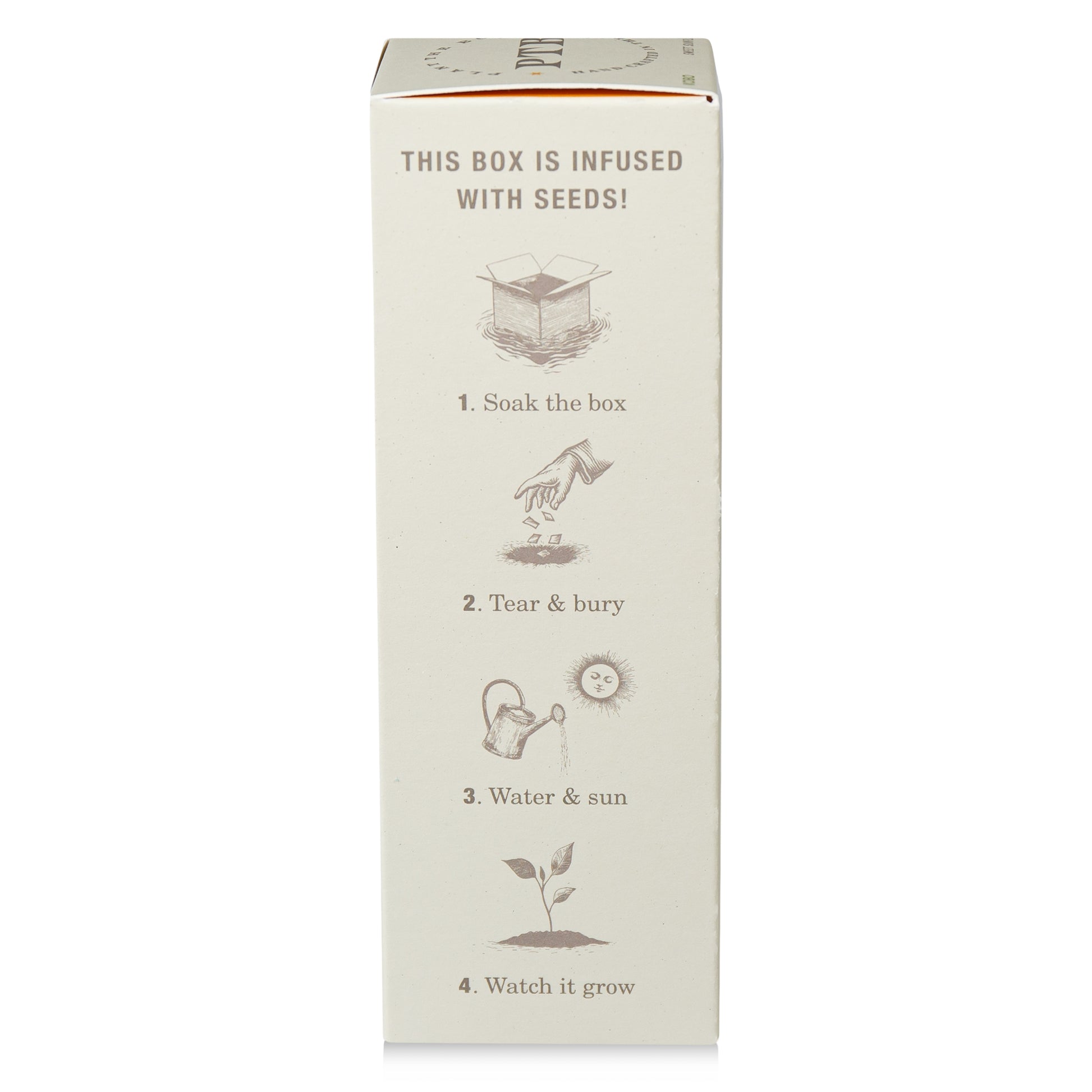 Alternate image of kobo ptb sweet sunflower reed diffuser