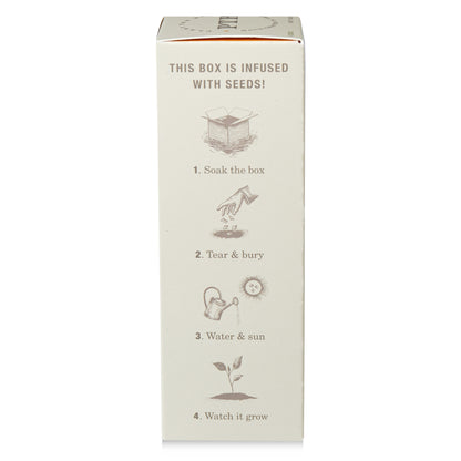Alternate image of kobo ptb sweet sunflower reed diffuser
