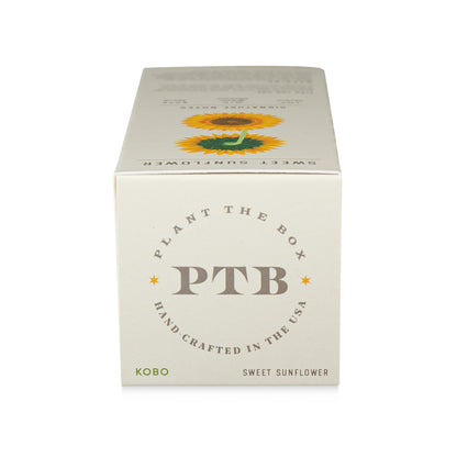 Alternate image of kobo ptb sweet sunflower reed diffuser