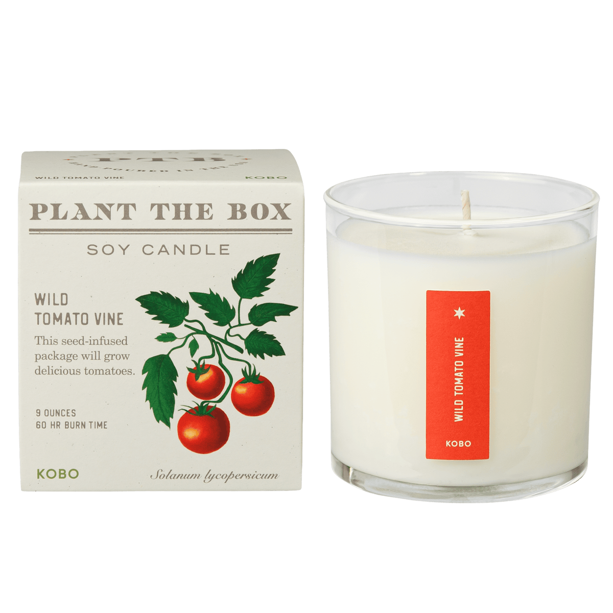 Primary image of Wild Tomato Vine Plant the Box Candle