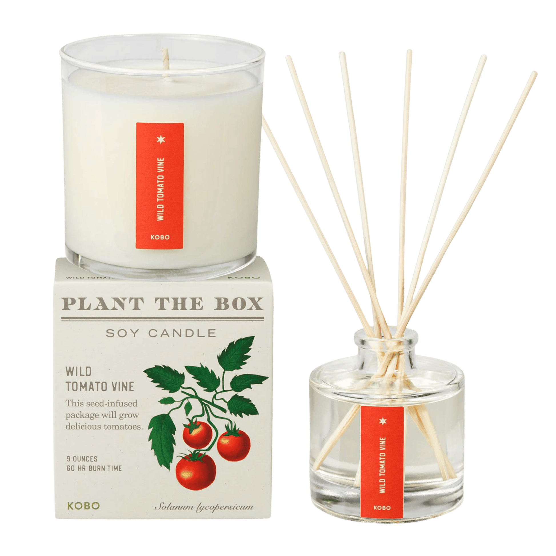 Front view of Wild Tomato Vine Plant the Box Duo showcasing a soy candle and reed diffuser with transparent background