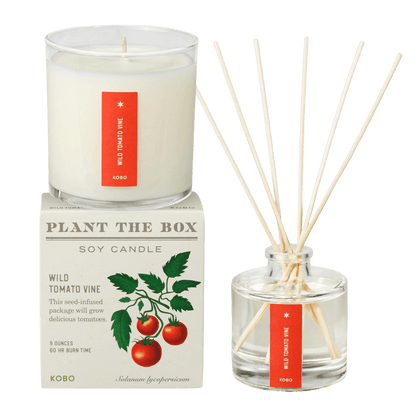 Front view of Wild Tomato Vine Plant the Box Duo showcasing a soy candle and reed diffuser with transparent background