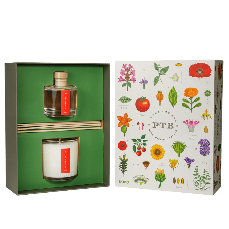 Primary image of Wild Tomato Vine Plant The Box Candle & Diffuser Gift Set