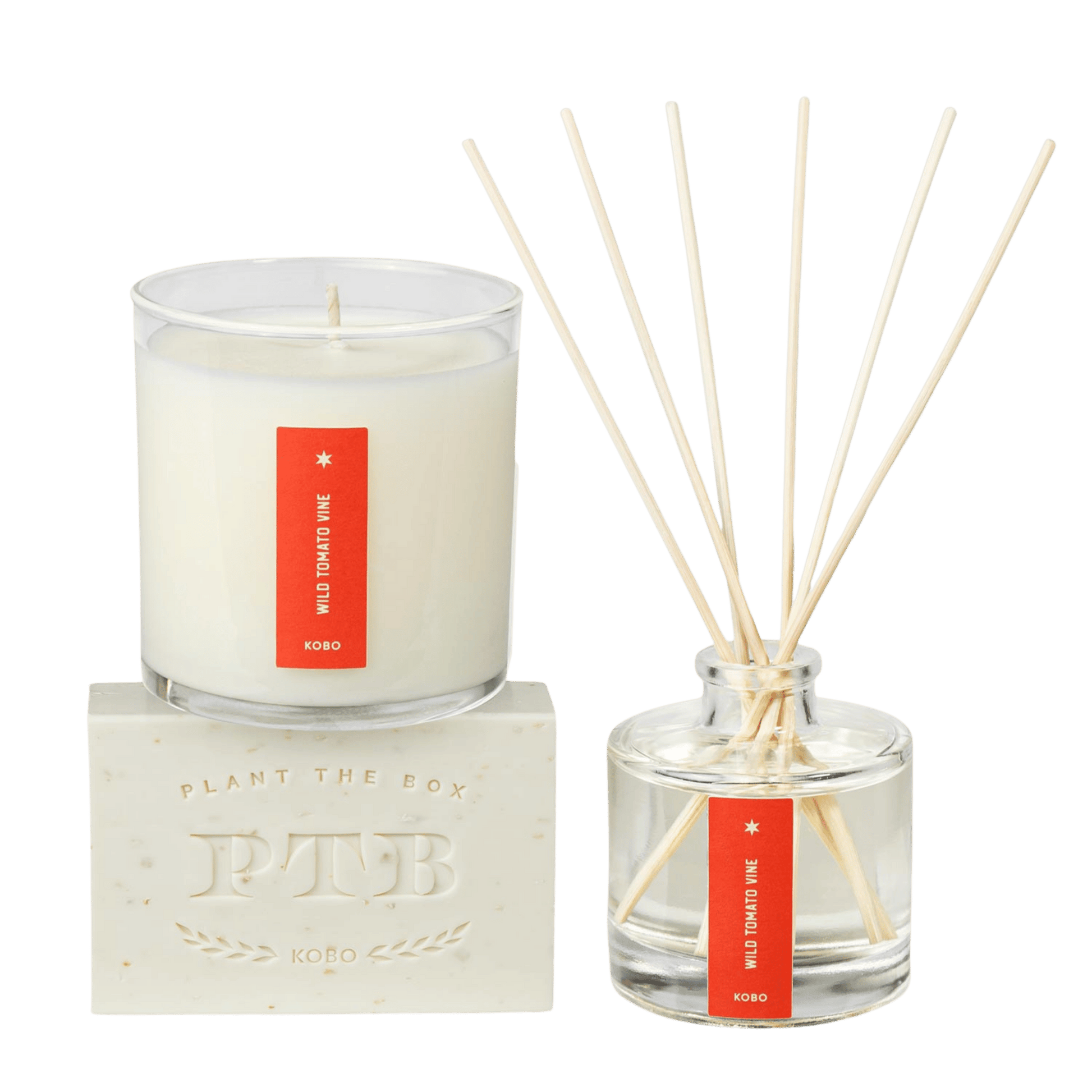 Front view of Wild Tomato Vine Plant the Box Trio showcasing a candle and reed diffuser on a transparent background