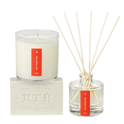 Front view of Wild Tomato Vine Plant the Box Trio showcasing a candle and reed diffuser on a transparent background
