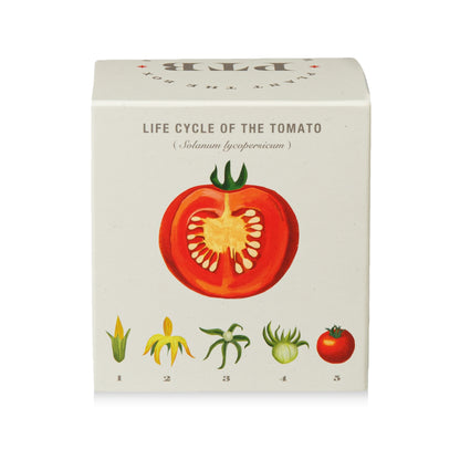 Alternate Image of Wild Tomato Vine Candle