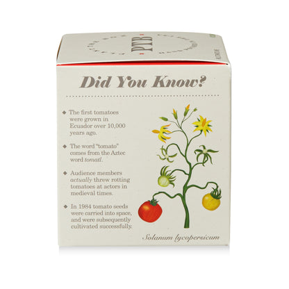 Alternate Image of Wild Tomato Vine Candle