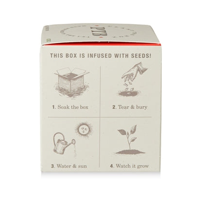 Alternate Image of Wild Tomato Vine Candle