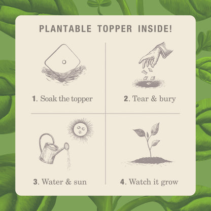 Alternate image of Fresh Picked Basil Plant the Box 10 oz Tin Candle
