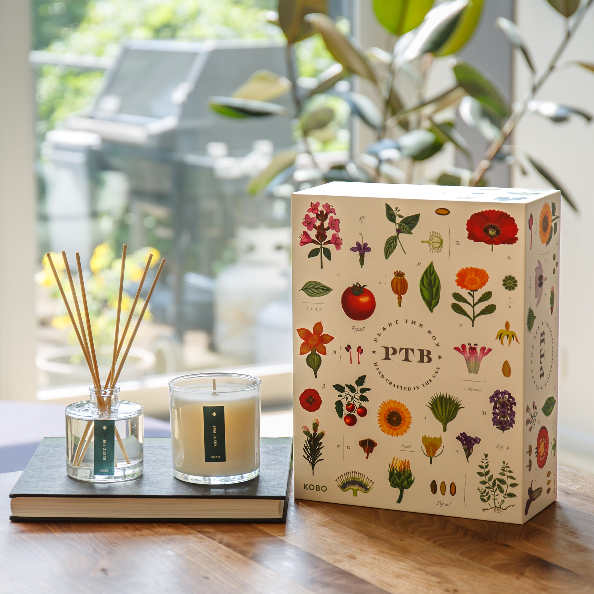 Alternate Image of Rustic Pine Plant The Box Candle & Diffuser Gift Set