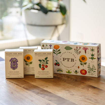 Alternate Image of Plant The Box Bar Soap Trio Gift Set