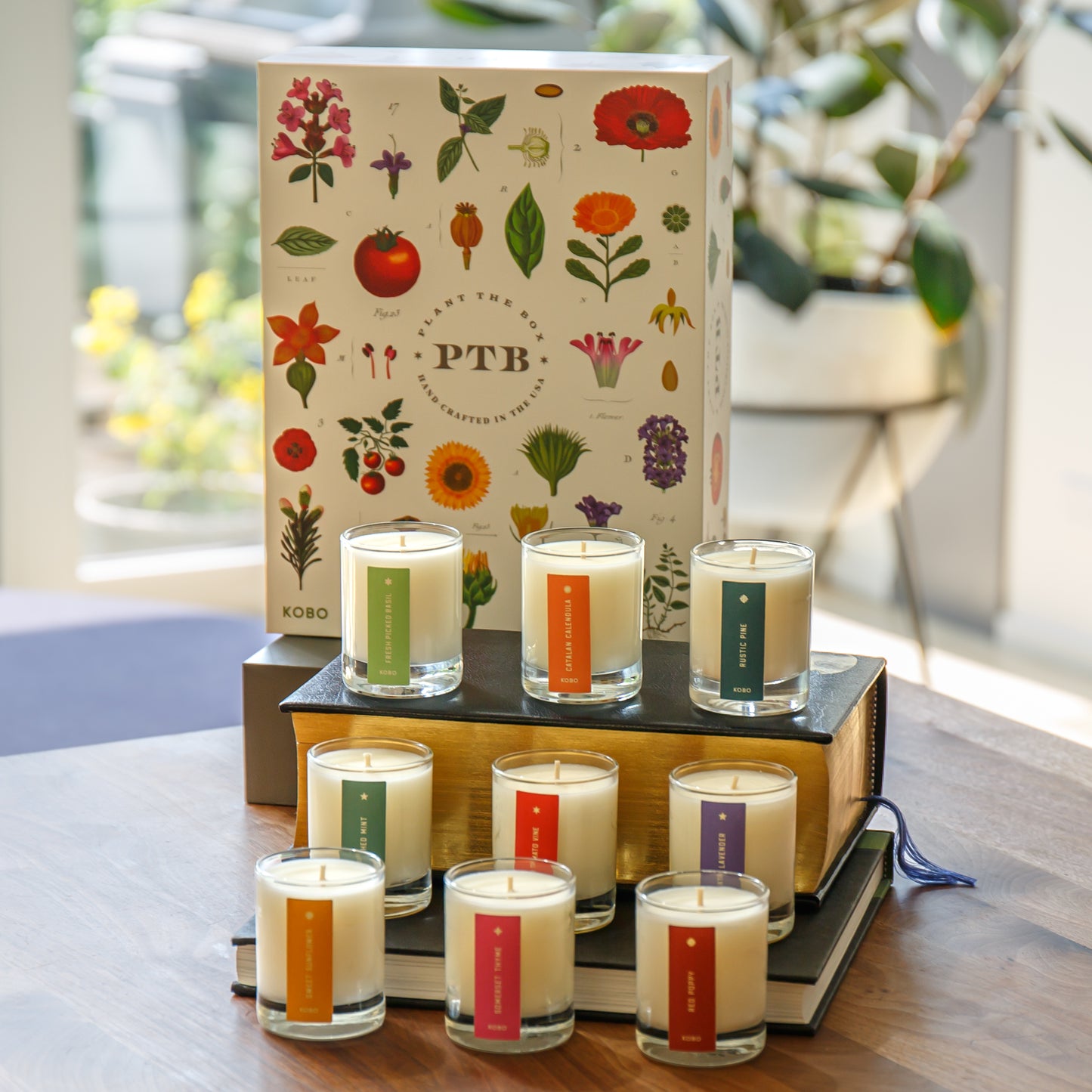 Alternate Image of Plant The Box Votive Trio Gift Set