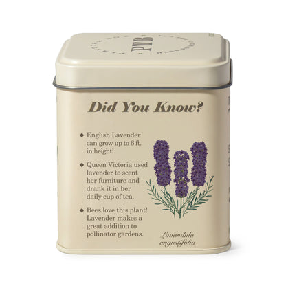 Alternate image of Heath Lavender Plant the Box 10 oz Tin Candle