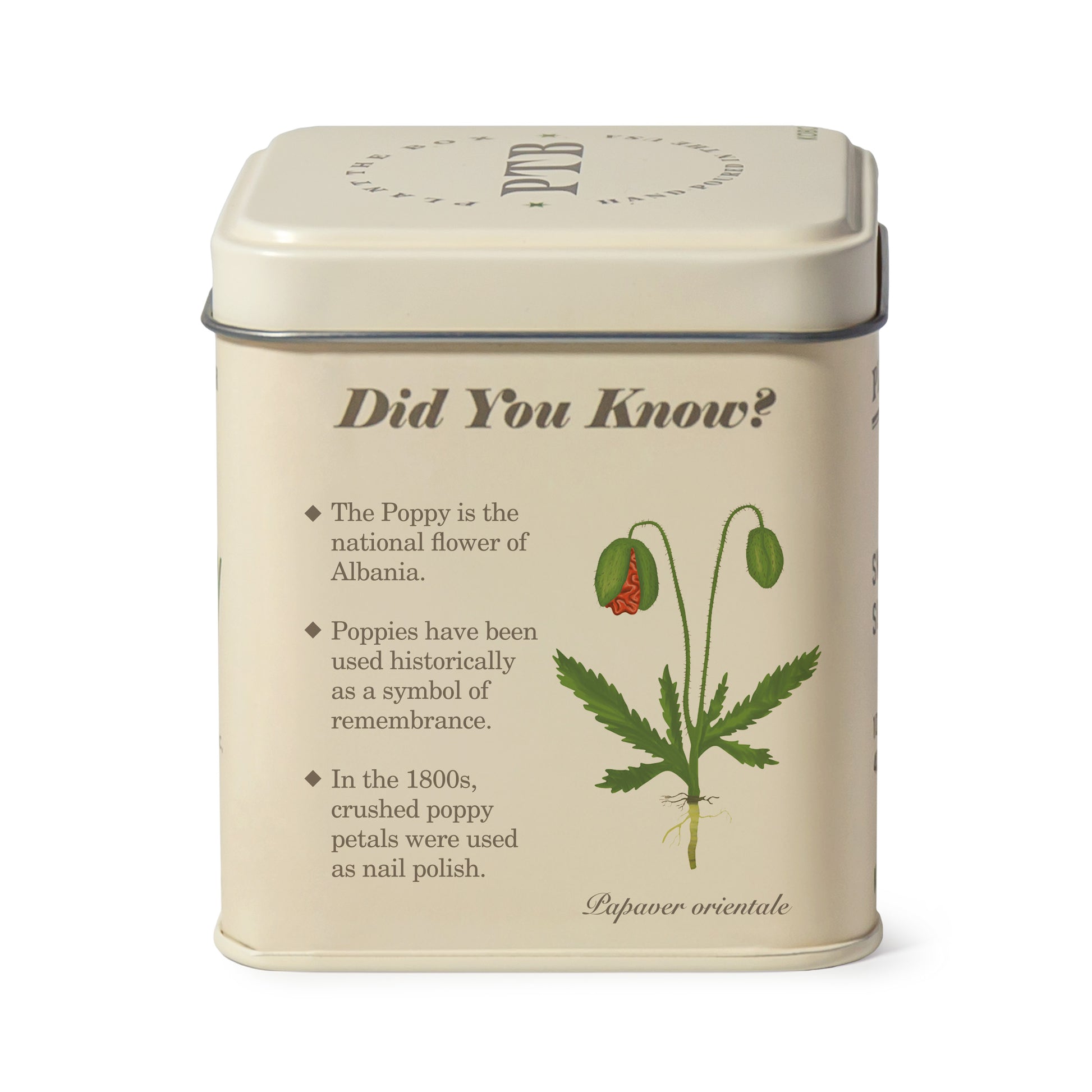 Alternate image of Red Poppy Plant the Box 10 oz Tin Candle
