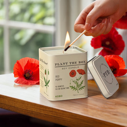 Alternate image of Red Poppy Plant the Box 10 oz Tin Candle