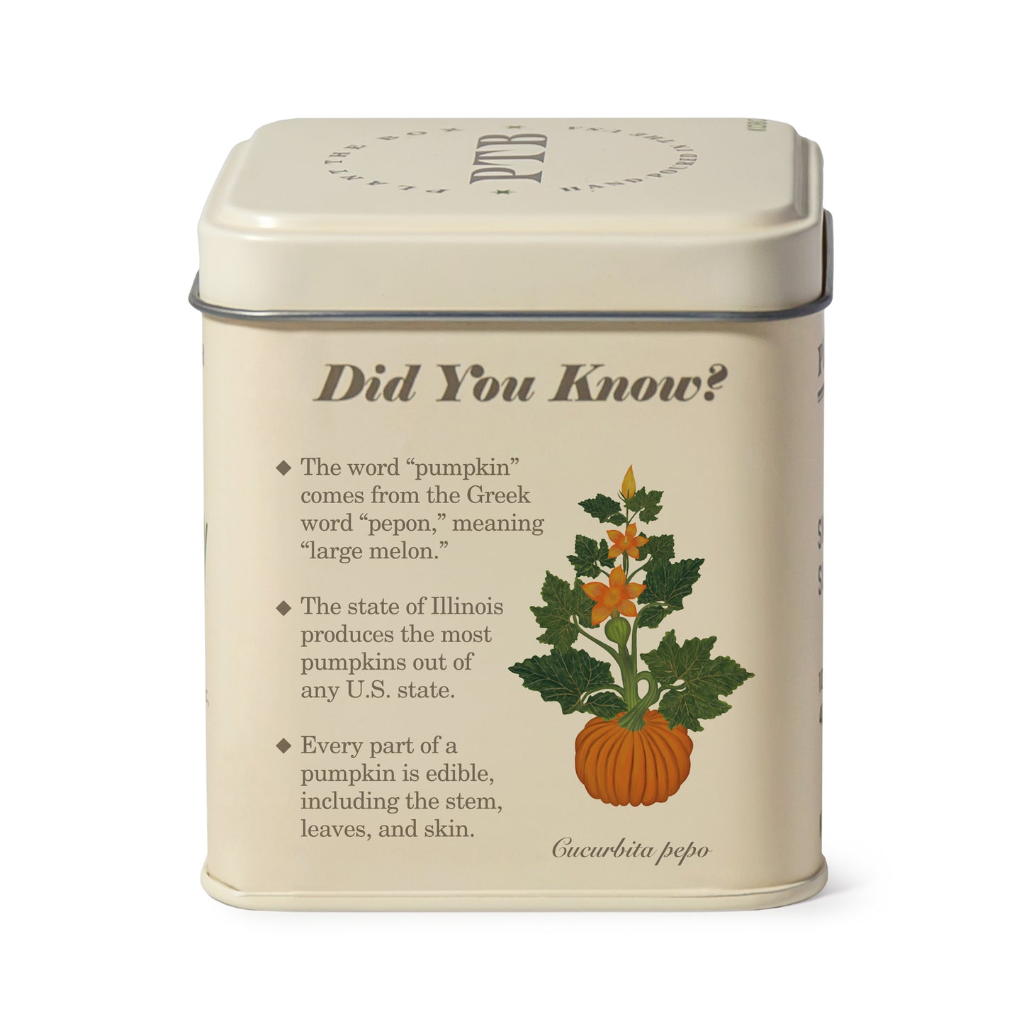 Alternate image of Half Moon Pumpkin Plant the Box 10 oz Tin Candle