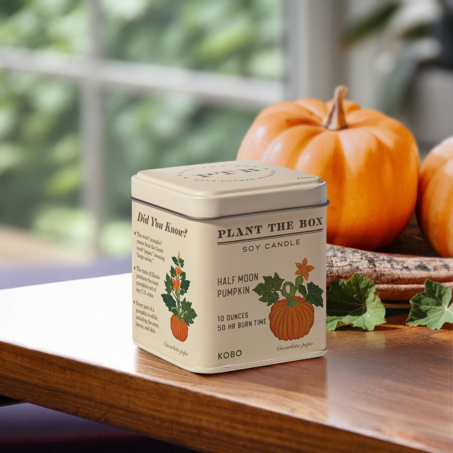 Alternate image of Half Moon Pumpkin Plant the Box 10 oz Tin Candle