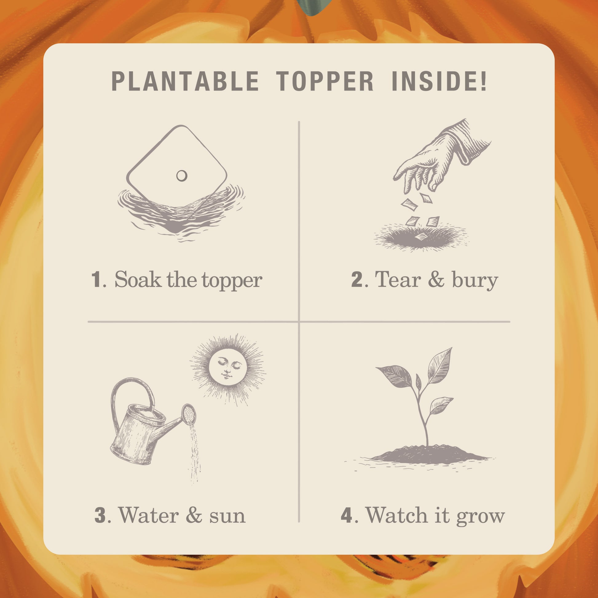 Alternate image of Half Moon Pumpkin Plant the Box 10 oz Tin Candle