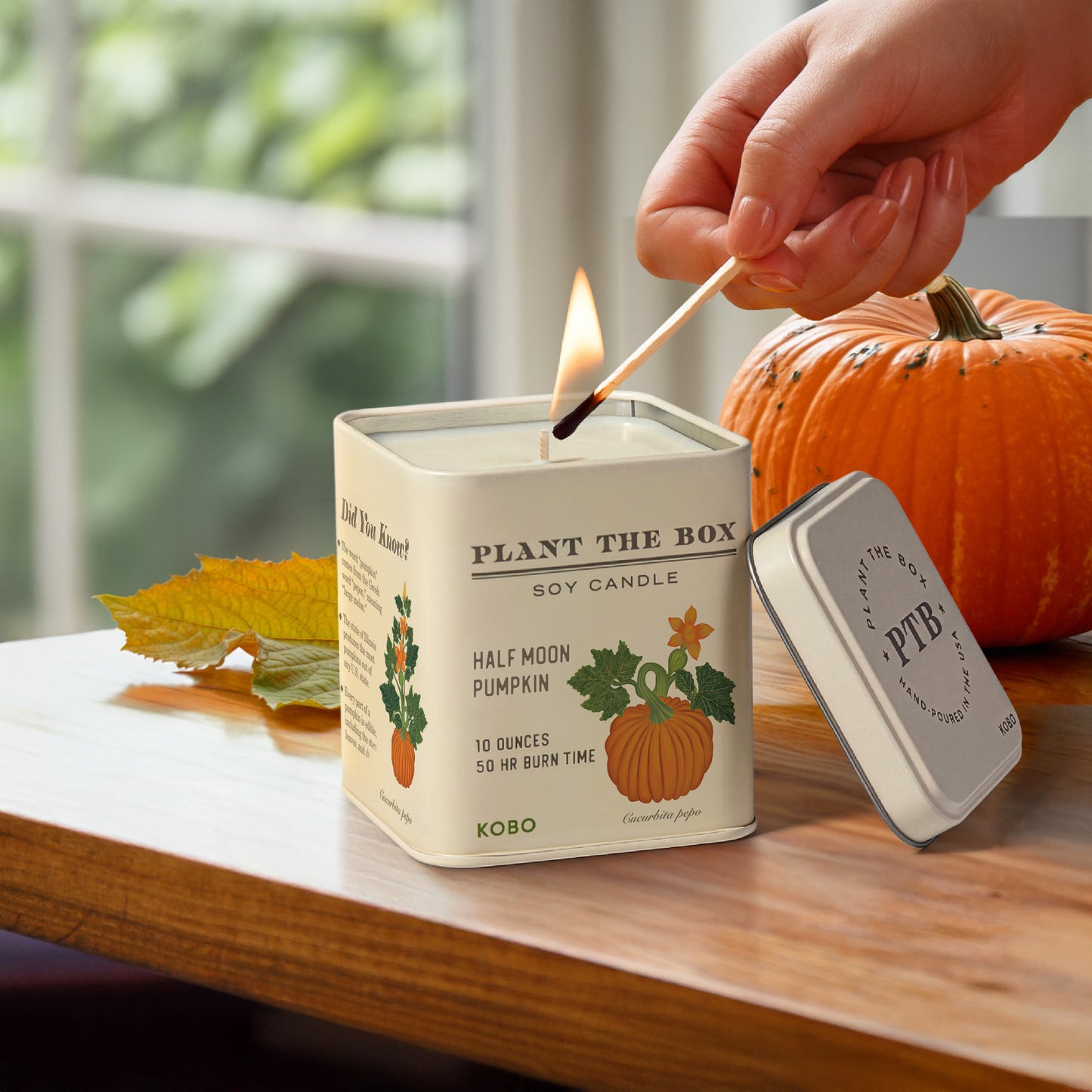 Alternate image of Half Moon Pumpkin Plant the Box 10 oz Tin Candle