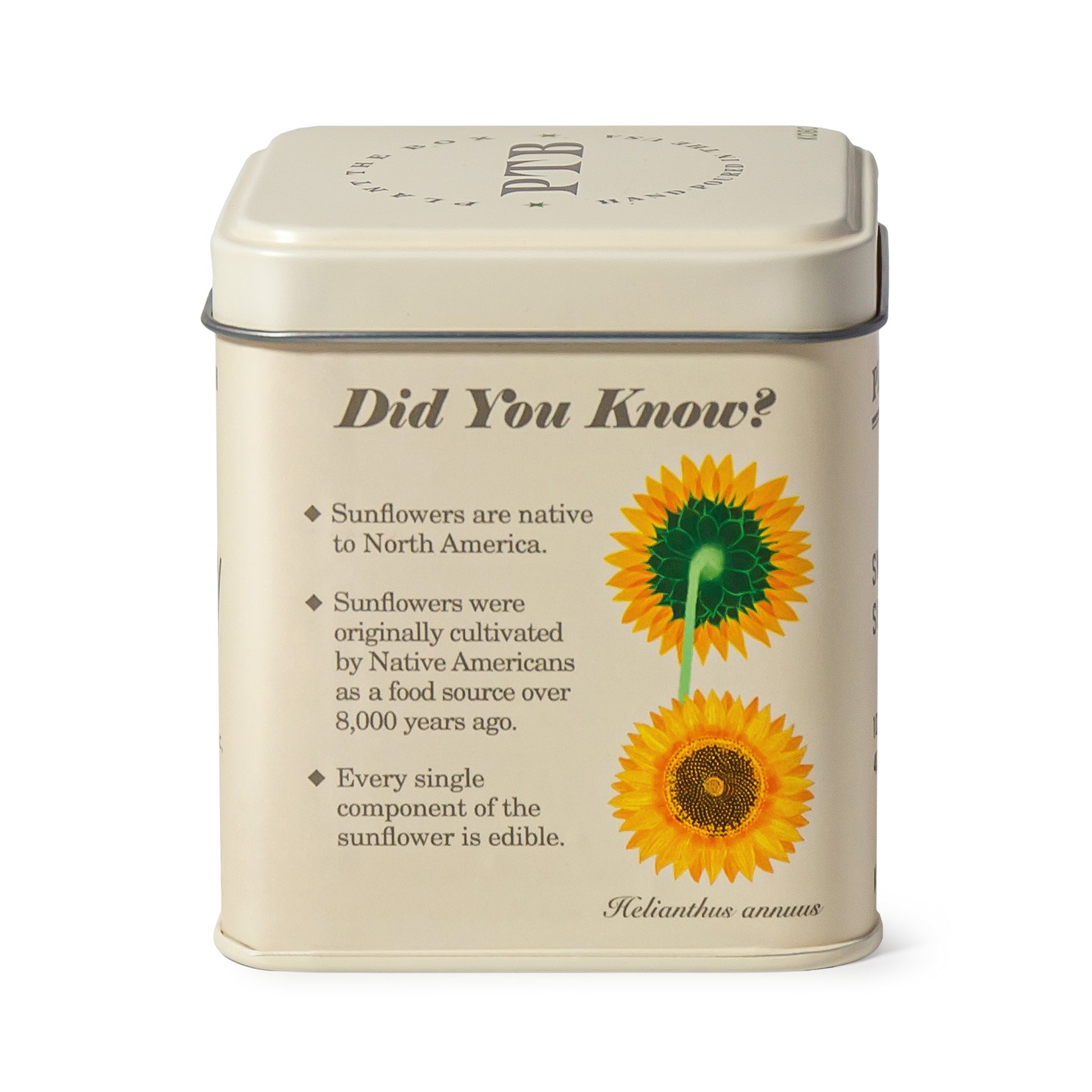 Alternate image of Sweet Sunflower Plant the Box 10 oz Tin Candle