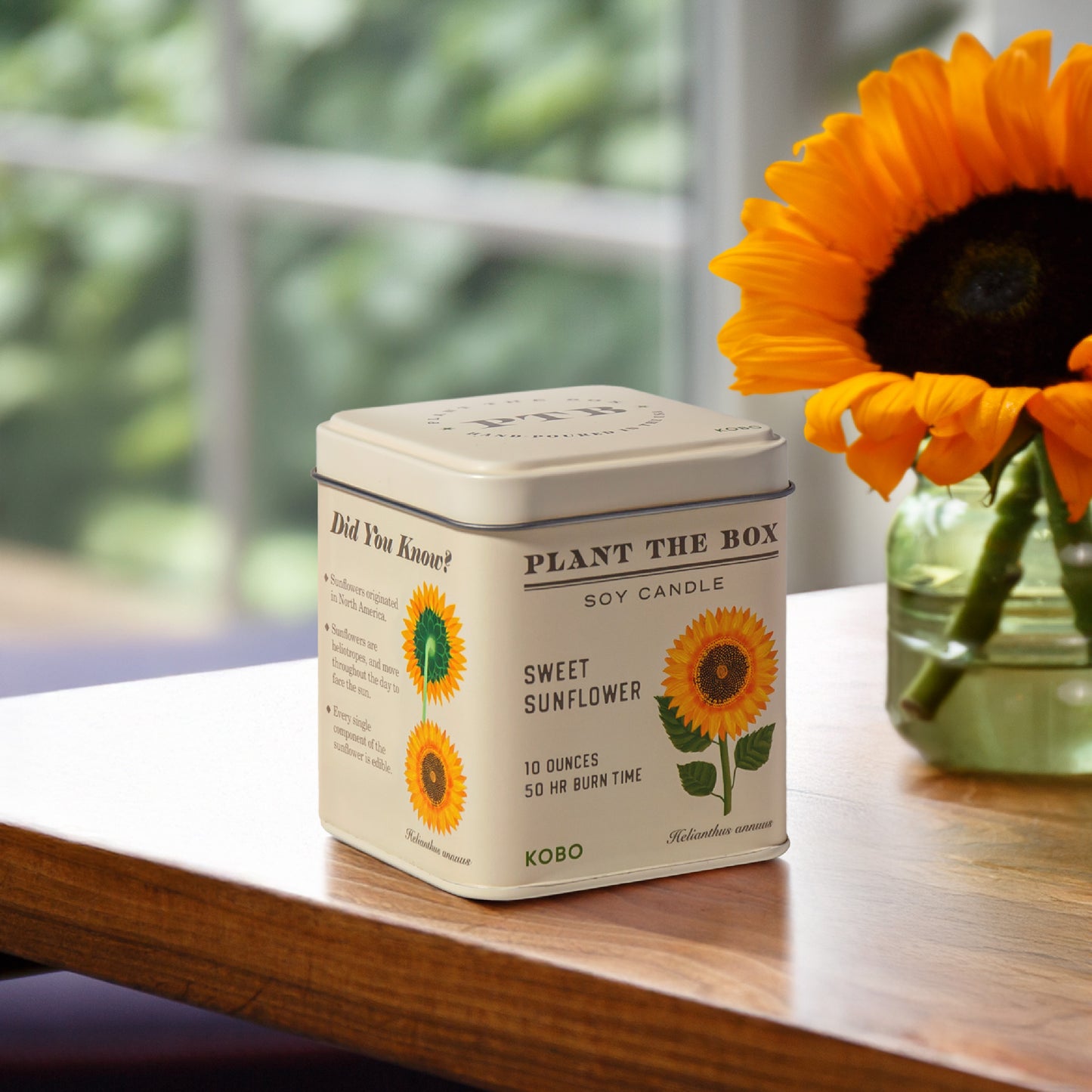 Alternate image of Sweet Sunflower Plant the Box 10 oz Tin Candle