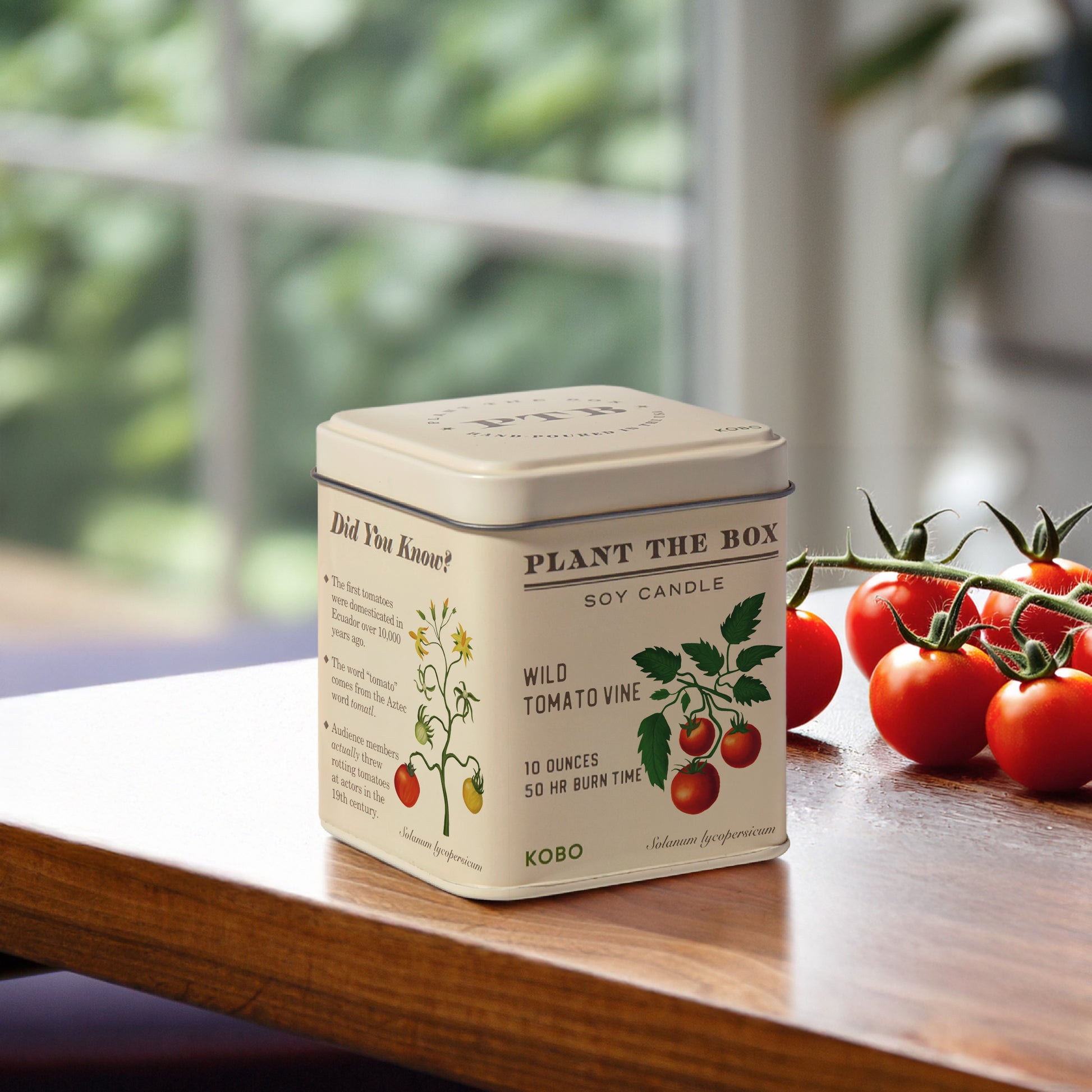 Alternate image of Wild Tomato Vine Plant the Box 10 oz Tin Candle