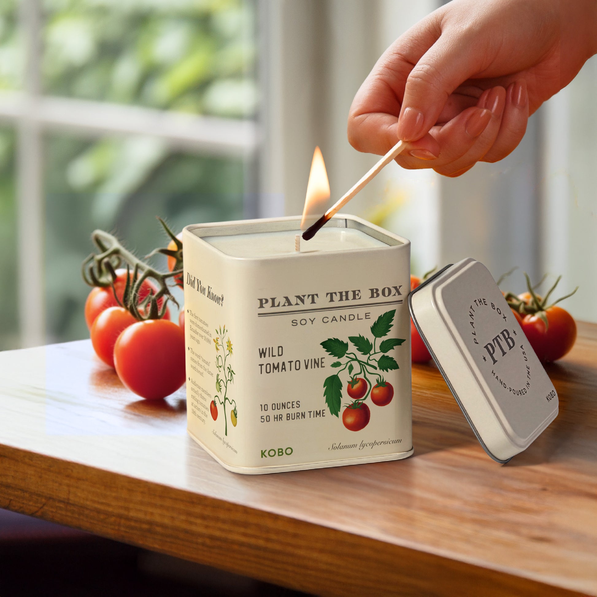 Alternate image of Wild Tomato Vine Plant the Box 10 oz Tin Candle