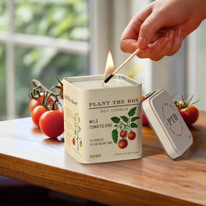 Alternate image of Wild Tomato Vine Plant the Box 10 oz Tin Candle