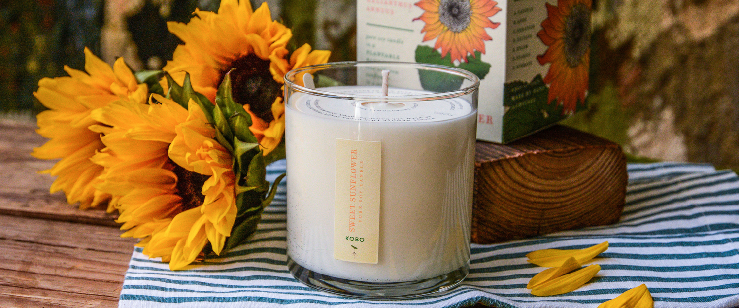 Sweet Sunflower Plant the Box Candle