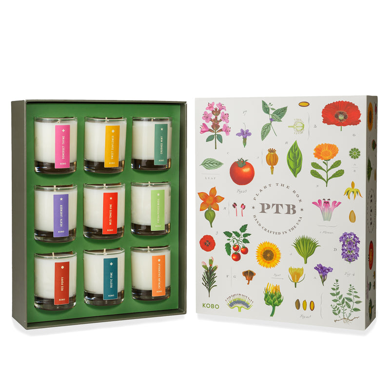 Primary Image of Plant The Box Votive Trio Gift Set