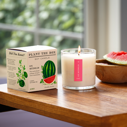 Alternate Image of Ripe Watermelon Plant the Box 9 oz Candle