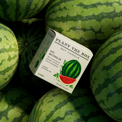 Alternate Image of Ripe Watermelon Plant the Box 9 oz Candle