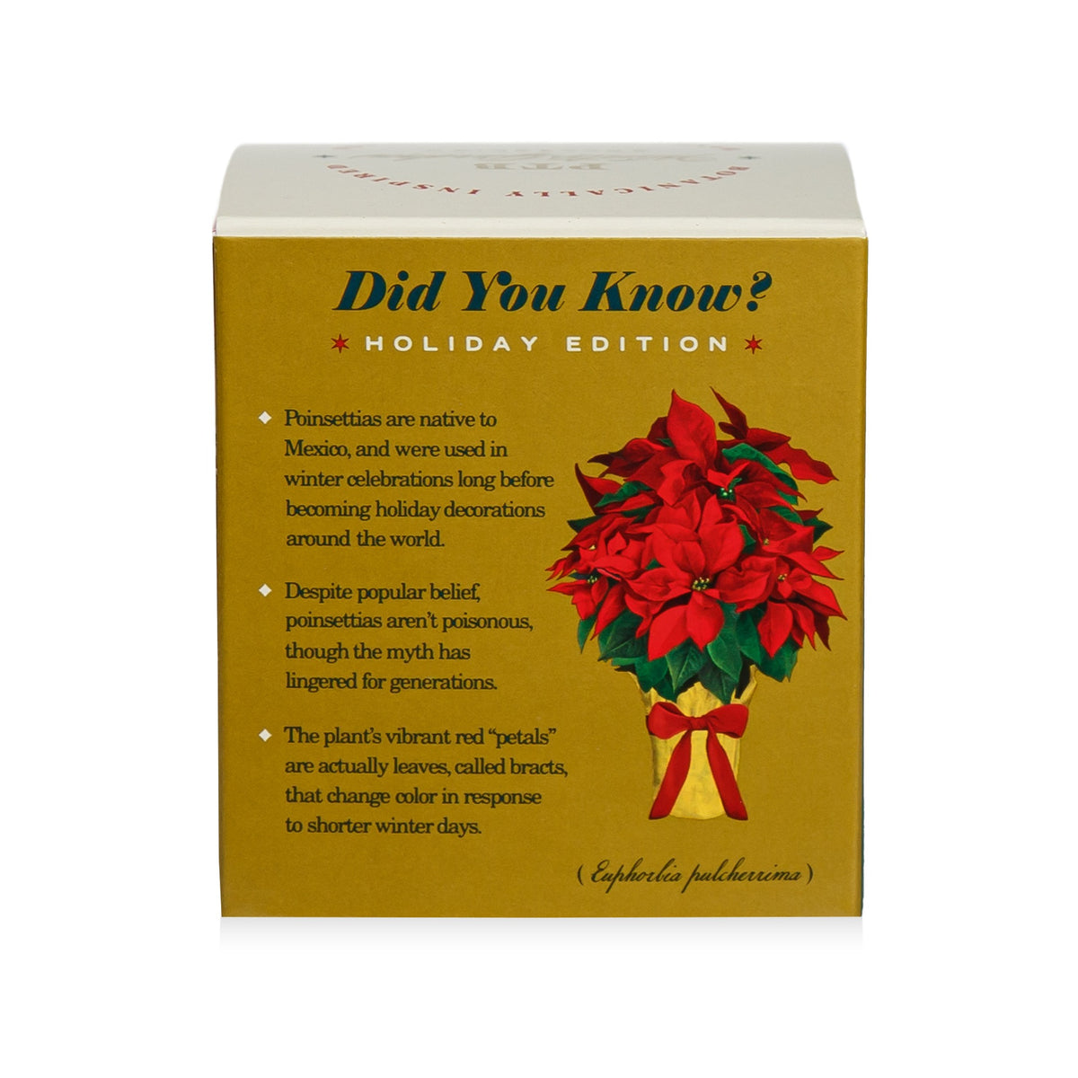 Alternate image of Winter Garden Festive Poinsettia Candle (9 oz)