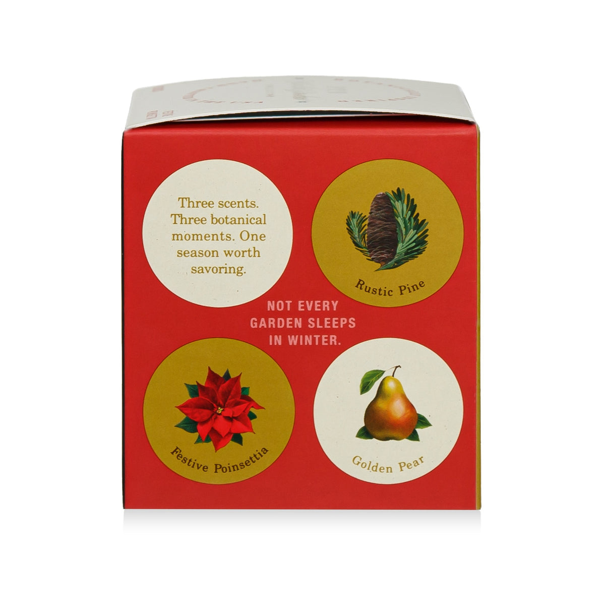 Alternate image of Winter Garden Festive Poinsettia Candle (9 oz)