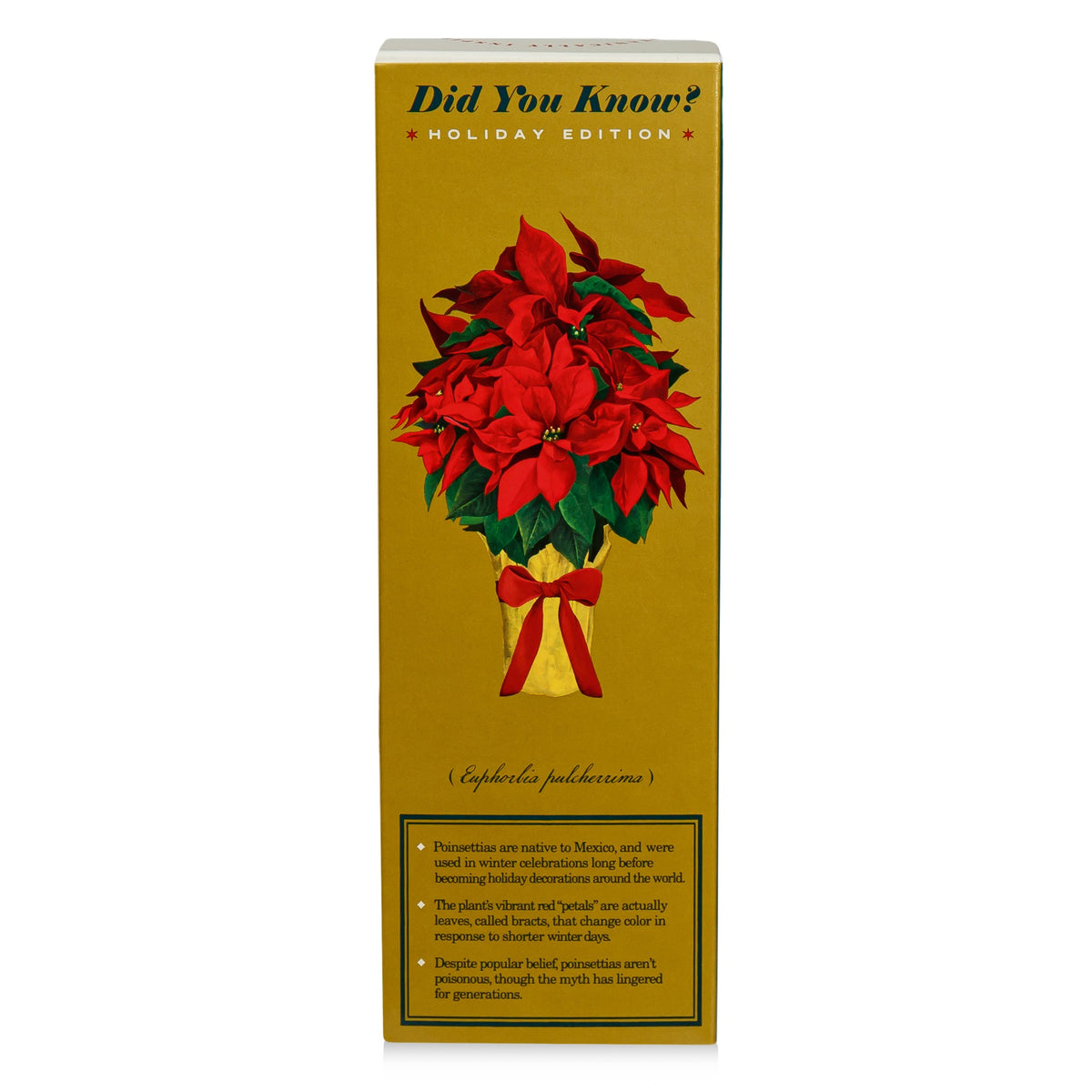 Alternate image of Winter Garden Festive Poinsettia Diffuser