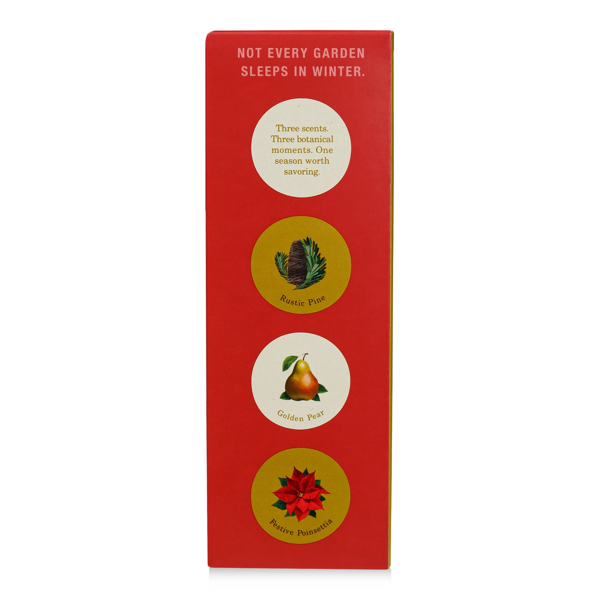 Alternate image of Winter Garden Festive Poinsettia Diffuser