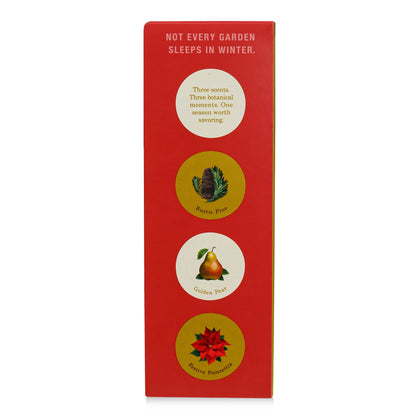Alternate image of Winter Garden Festive Poinsettia Diffuser