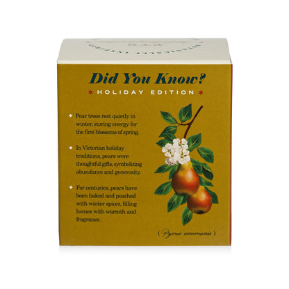 Alternate image of Winter Garden Golden Pear Candle