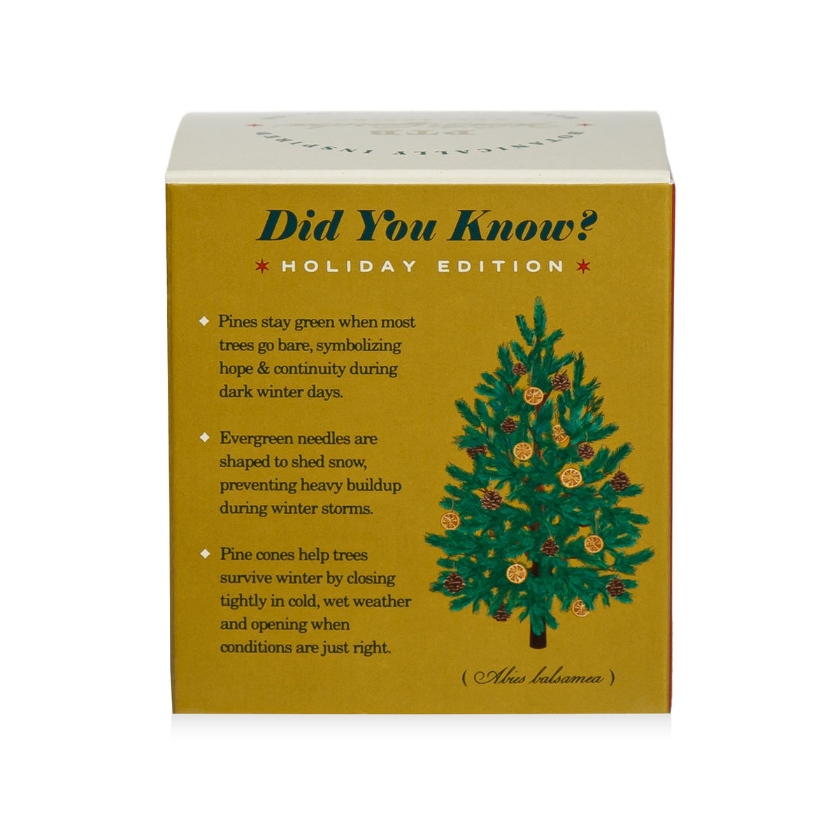 Alternate image of Winter Garden Rustic Pine Candle