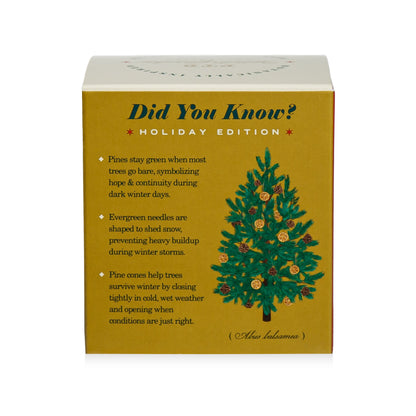 Alternate image of Winter Garden Rustic Pine Candle