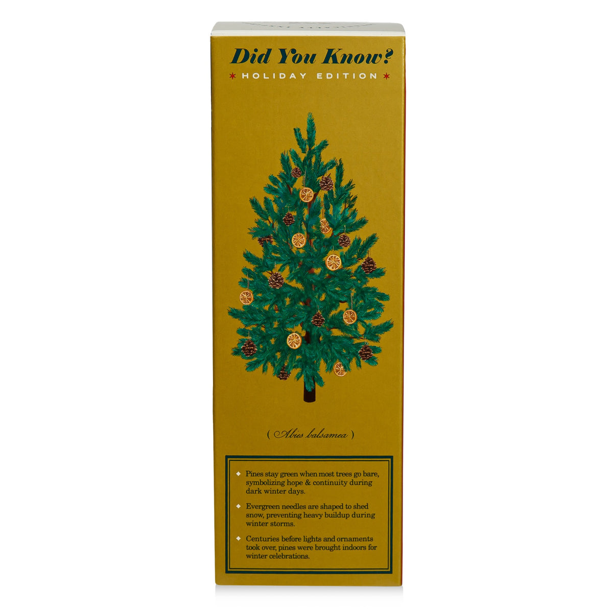 Alternate image of Winter Garden Rustic Pine Diffuser (4 oz)