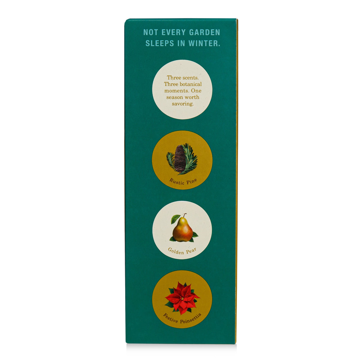 Alternate image of Winter Garden Rustic Pine Diffuser (4 oz)